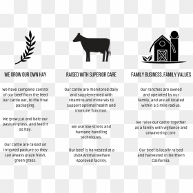 Why Five Mile Beef - Cattle, HD Png Download - beef png