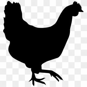 Rooster Chicken Silhouette Drawing - Transparent Background Chicken Silhouette, HD Png Download - chicken.png