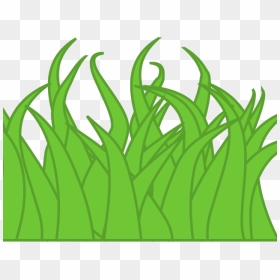 Lawn Clipart Long Grass - Grass Clipart, HD Png Download - long grass png