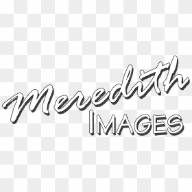 Calligraphy, HD Png Download - webpng