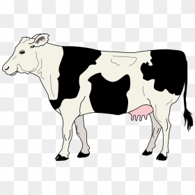 Drawing Cow Milk Transparent Png Clipart Free Download - Cow Clipart, Png Download - cows png
