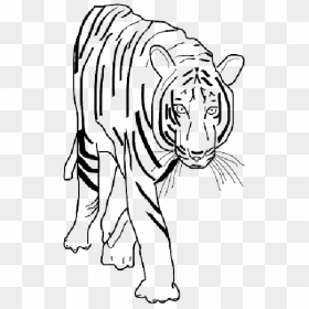 Animals, Park, Black, Africa, Outline, Drawing - Tiger Black And White Clipart, HD Png Download - africa outline png