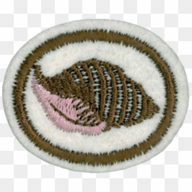 Bacia Retratil, HD Png Download - shells png