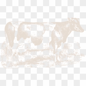 Farmingpagecow-19 - Dairy Cow, HD Png Download - cows png