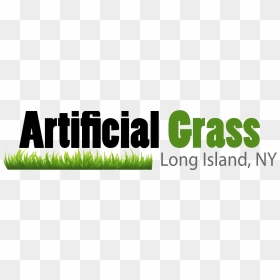 Artificial Grass In Long Island, Ny - Grass, HD Png Download - long grass png