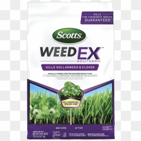 Scotts Weed Ex, HD Png Download - long grass png