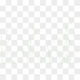 Grass - Épis De Blé, HD Png Download - long grass png