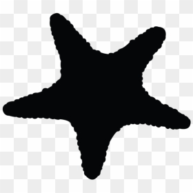 Starfish - Hereford Courtyard Logo, HD Png Download - star fish png