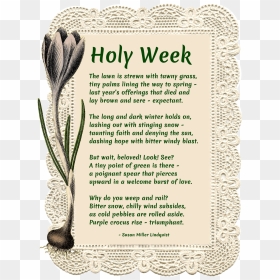 Holy Week Poem - Houseplant, HD Png Download - long grass png