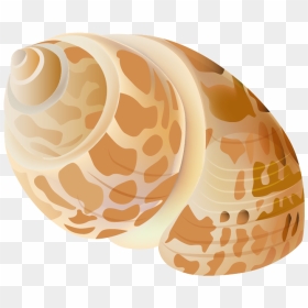 2 Photos - Transparent Background Free Sea Shell Clip Art, HD Png Download - star fish png