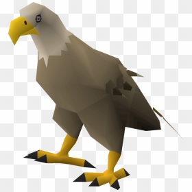 Bald Eagle, HD Png Download - desert eagle png