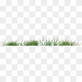 Linea De Pasto Png, Transparent Png - pasto png