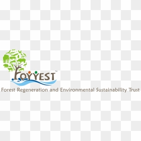 Graphic Design, HD Png Download - forrest png