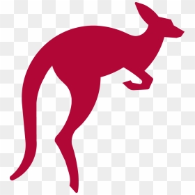 Kangaroo Jumping Png Download Image, Transparent Png - jumping png