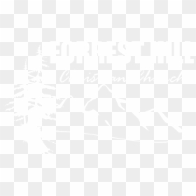 Forrest Hill Christian Church - Don T Give A Fuck Kesha, HD Png Download - forrest png