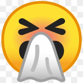 Sneezing Face Icon - Hawaiʻi Volcanoes National Park, HD Png Download - password icon png