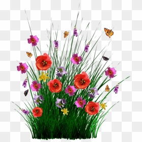 Isolated Spring Flowers Grass Meadow - Field Of Flowers Png, Transparent Png - pasto png