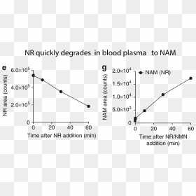 Not Stable In Bloodstream - Plot, HD Png Download - equation png