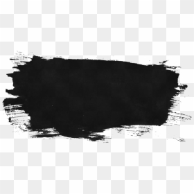 Reflection, HD Png Download - forrest png