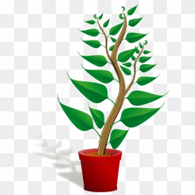 Plant Clip Art Png, Transparent Png - seedling png
