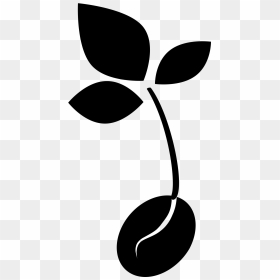 Sprout Clipart Black And White, HD Png Download - seedling png