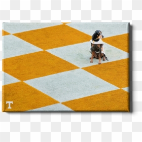 College Wall Art - Tennessee Volunteers Decor, HD Png Download - checkerboard png