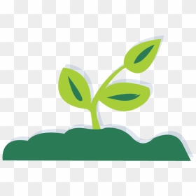 Seedling Clipart Garden Dirt - Graphic Design, HD Png Download - seedling png