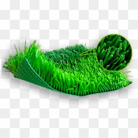Artificial Turf , Png Download - Sweet Grass, Transparent Png - pasto png