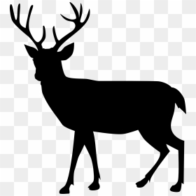 Reindeer Moose Silhouette Illustration - Deer Png Black And White, Transparent Png - moose silhouette png