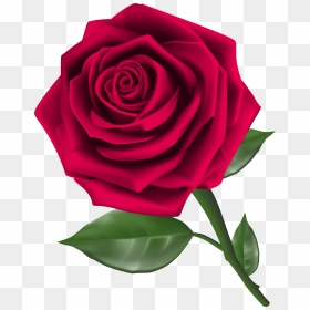 Roses Steam Rose Image Image Png Clipart - Rose Clipart Png, Transparent Png - steam.png