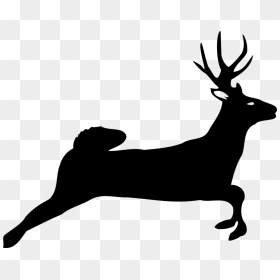White-tailed Deer Horse Moose Show Jumping - Jumping Buck Silhouette, HD Png Download - moose silhouette png