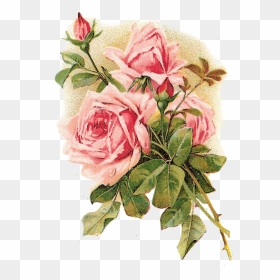 Rose Vintage Clothing Flower Pink Shabby Chic - Shabby Chic Vintage Flowers, HD Png Download - vintage rose png