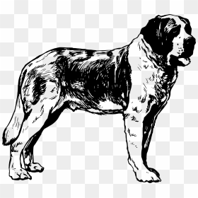 St Bernard Clip Arts - Saint Bernard Dog Clip Art, HD Png Download - dog outline png
