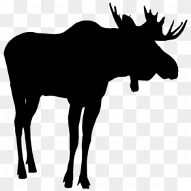 #moose #silhouette #moosesilhouette - Moose Cartoon Silhouette Transparent, HD Png Download - moose silhouette png