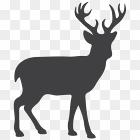 Reindeer Moose Silhouette Clip Art - Dusit Zoo, HD Png Download - moose silhouette png
