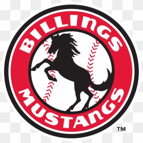 Billings Mustangs Logo Clipart , Png Download - Billings Mustangs, Transparent Png - mustang logo png
