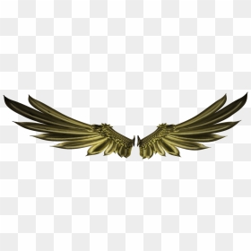 Thumb Image - Wings Logo 3d, HD Png Download - gold wings png