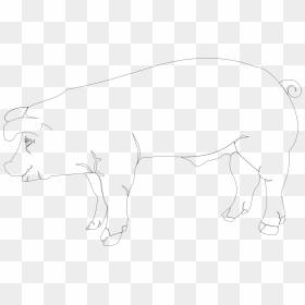 Sketch, HD Png Download - dog outline png