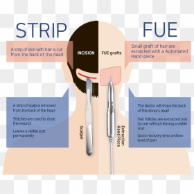 Flyer, HD Png Download - scalpel png