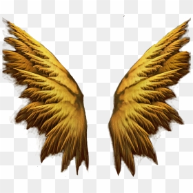 Gold Angel Wings Png - Gold Angel Wings Transparent, Png Download - gold wings png