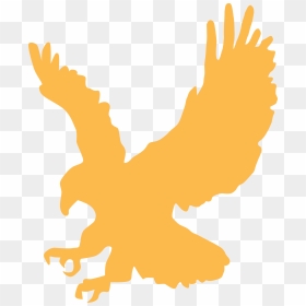 Eagle Gold Wings Animal Landing - Eagle Clip Art, HD Png Download - gold wings png