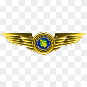Faa Astronaut Wings - Commercial Astronaut Wings, HD Png Download - gold wings png