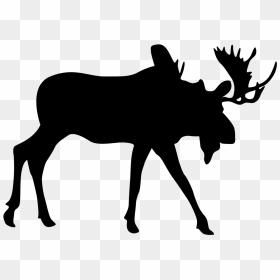 Transparent Moose Silhouette Png - Silhouette, Png Download - moose silhouette png