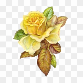 Yellow Roses Transparent Vintage Png, Png Download - vintage rose png