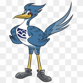 Transparent Road Runner Png - Dabney S Lancaster Community College Roadrunners, Png Download - roadrunner png