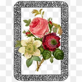 Vintage Rose Bouquet Framed Png Image - Vintage Botanical Prints Peonies Art, Transparent Png - vintage rose png