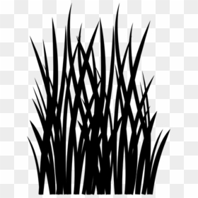 #pasto - Grass Blades Vdector, HD Png Download - vhv