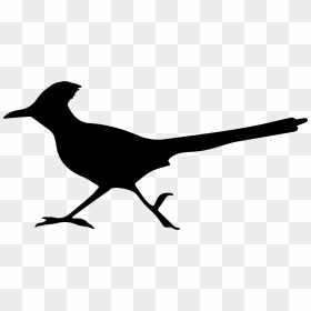Roadrunner Clipart Svg - Roadrunner Clipart, HD Png Download - roadrunner png