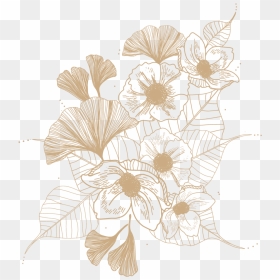 Untitled-1 - African Daisy, HD Png Download - people from above png