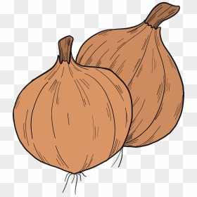 Shallot PNG Transparent Images Free Download, Vector Files